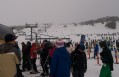 0806-1350 Perisher valley (8060203)